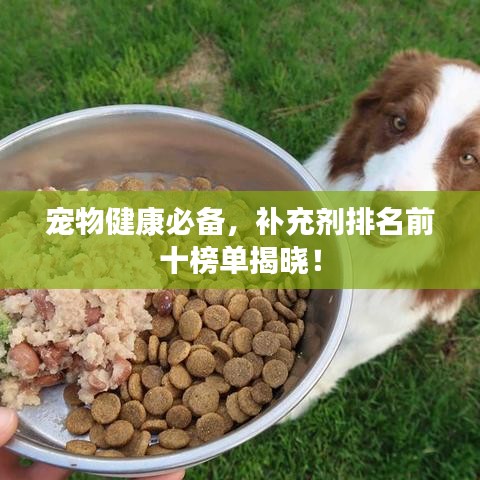 寵物健康必備，補(bǔ)充劑排名前十榜單揭曉！