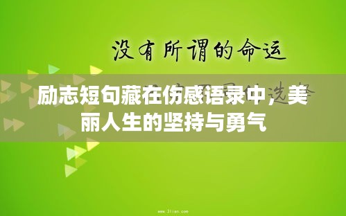 勵(lì)志短句藏在傷感語錄中，美麗人生的堅(jiān)持與勇氣
