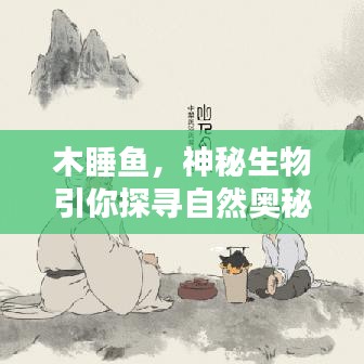 木睡魚，神秘生物引你探尋自然奧秘