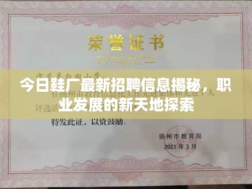 今日鞋廠最新招聘信息揭秘，職業(yè)發(fā)展的新天地探索